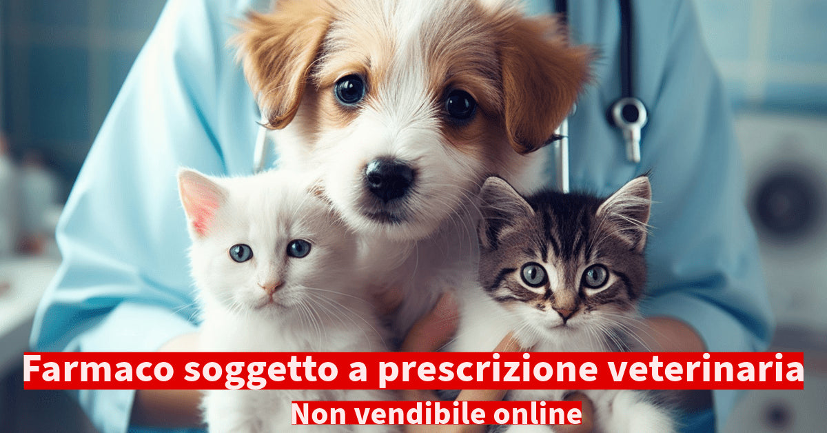 Gli acari nelle orecchie di cani e gatti: come trattarli