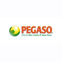 Pegaso srl