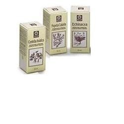 Ecol Echinacea Estratto Analcolico gocce 50 Ml
