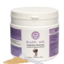 Aneid Italia Agaricus Blazei Biomass Mrl Polvere