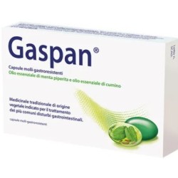 Dr. Willmar Schwabe Gmbh&co. Kg Gaspan Capsule Molli Gastroresistenti