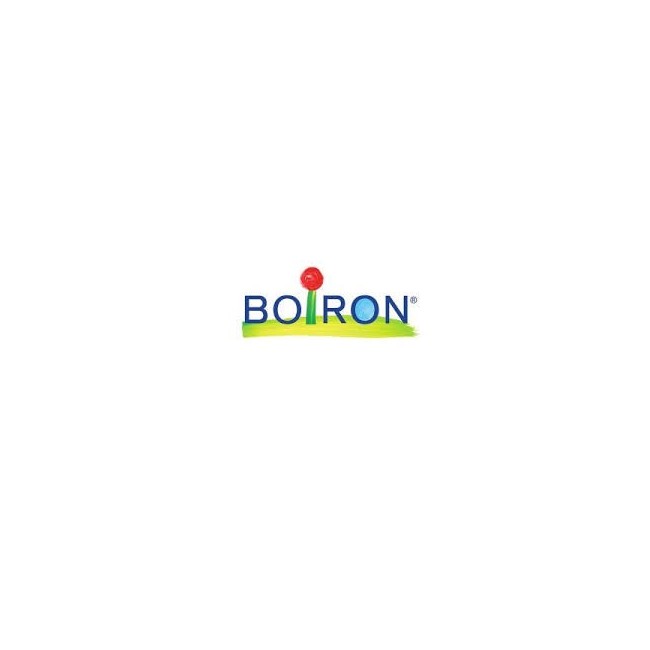 Boiron Kreosotum Boi 15ch 80gr 4g Boiron Kreosotum Boi 15ch 80gr 4g