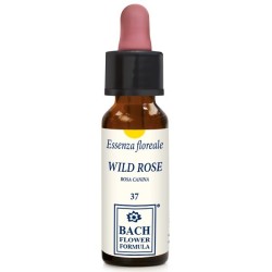 Erba Vita Group Wild Rose Original Gocce 10 Ml