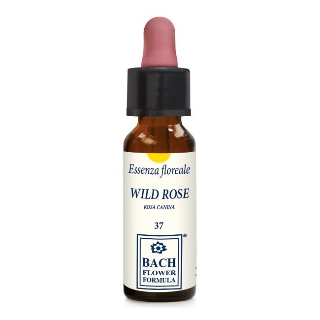 Erba Vita Group Wild Rose Original Gocce 10 Ml Erba Vita Group Wild Rose Original Gocce 10 Ml