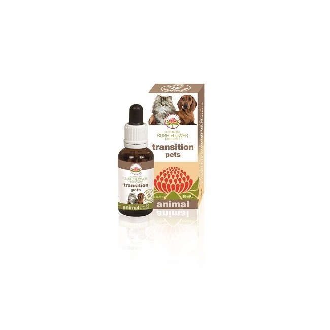Bush Biotherapies Pty Transition Pets per cambiamenti 30 Ml Bush Biotherapies Pty Transition Pets per cambiamenti 30 Ml