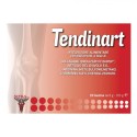 Sifra Tendinart 20 Bustine Sifra Tendinart 20 Bustine