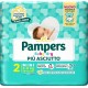 Fater Pampers Baby Dry Pannolino Downcount Mini 24 Pezzi