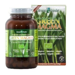 Green Magma 320 Tavolette 120g