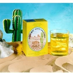 Vegetal Progress Tepuma Desert Lemon Drink 100g
