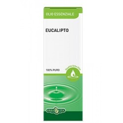 Erba Vita Eucaplito Olio Essenziale 10 Ml