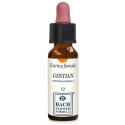 Erba Vita Group Gentian Original 10 Ml Gocce