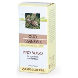  Pino Mugo Olio Essenziale 