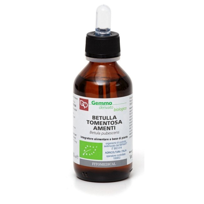 Betulla Tomentosa Amenti Macerato Glicerinato Betulla Tomentosa Amenti Macerato Glicerinato