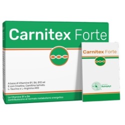 Anvest Carnitex forte 14 bustine