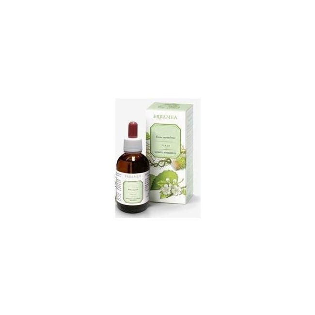 Erbamea Artiglio Del Diavolo Estratto Idroalcolico 50 Ml Erbamea Artiglio Del Diavolo Estratto Idroalcolico 50 Ml