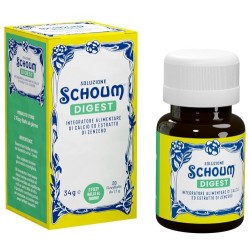 Soluzione schoum digest