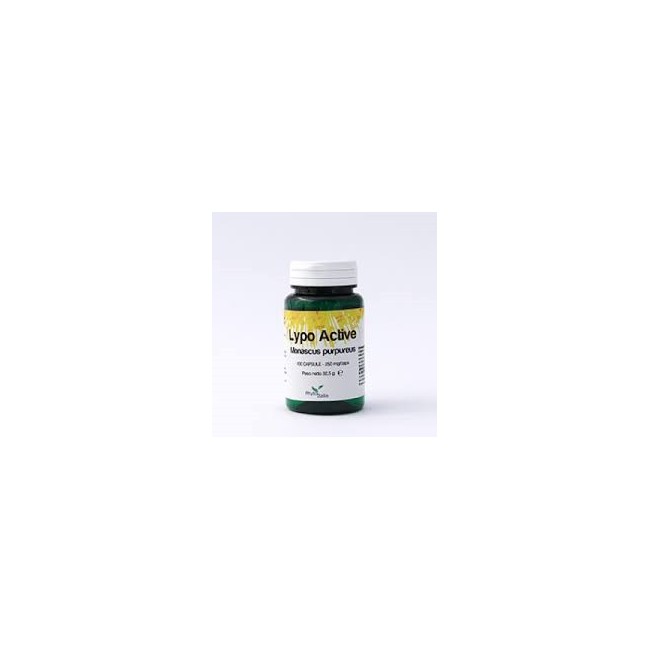 Lypo Active 30 Capsule Lypo Active 30 Capsule