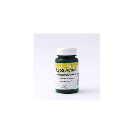 Lypo Active 30 Capsule Lypo Active 30 Capsule