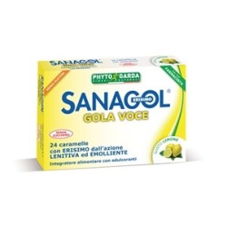 Sanagol Gola Voce Senza Zucchero Al Limone 24 Caramelle
