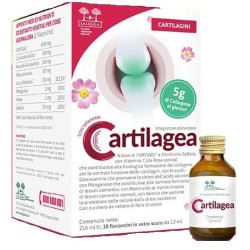 Cartilagea Salugea