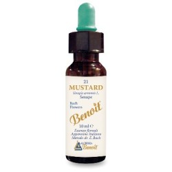 Benoit Mustard 10 Ml