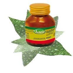 Larix Laboratori Spirulina integratore 60 Capsule