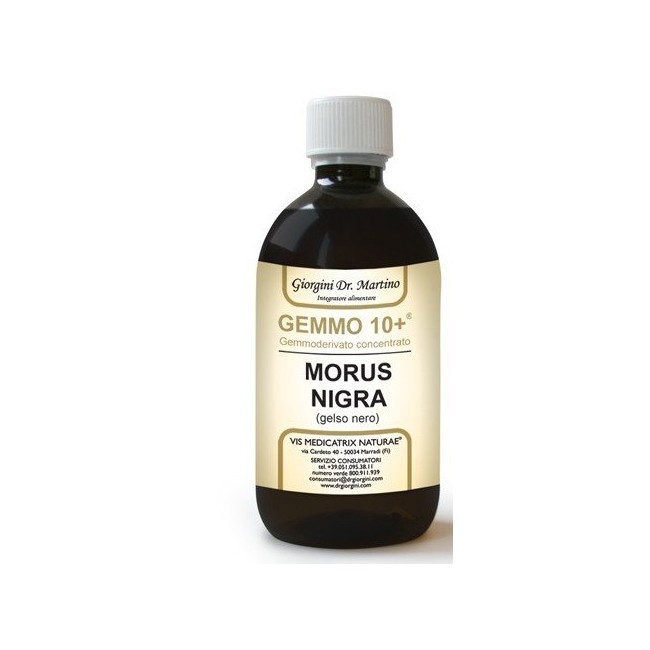 Dr. Giorgini Gelso Nero Liquido Analcolico Dr. Giorgini Gelso Nero Liquido Analcolico