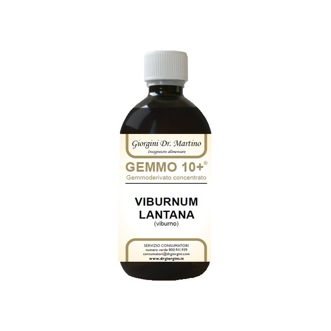 Viburno Liquido Analcolico Gemmo 10+ 500 Ml Viburno Liquido Analcolico Gemmo 10+ 500 Ml