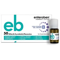  Enteroben 50mld 10 Flaconcini 