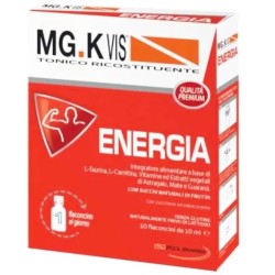 Pool Pharma Mgk Vis Tonico Ricostituente Energia 10 Flaconcini Da 10 Ml