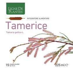 Natura Service Tamerice