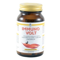 Immuno volt colostro di capra antalgico
