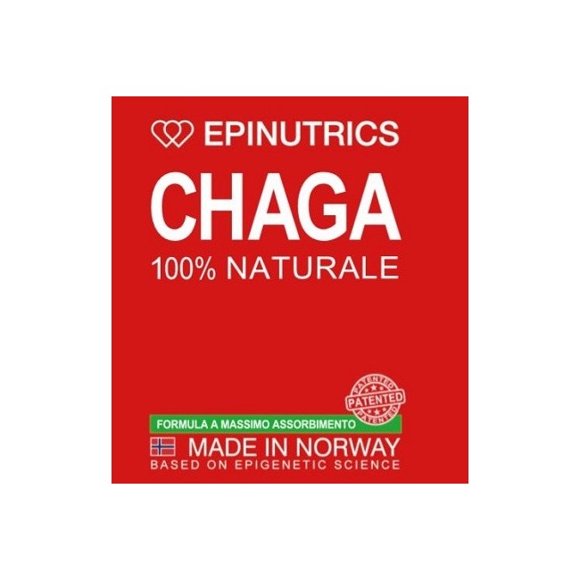 Epinutrics Epi Chaga 60 Capsule Epinutrics Epi Chaga 60 Capsule