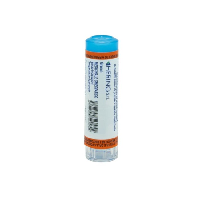 Hering Carbo Vegetabilis 1000ch Gl 1g Hering Carbo Vegetabilis 1000ch Gl 1g