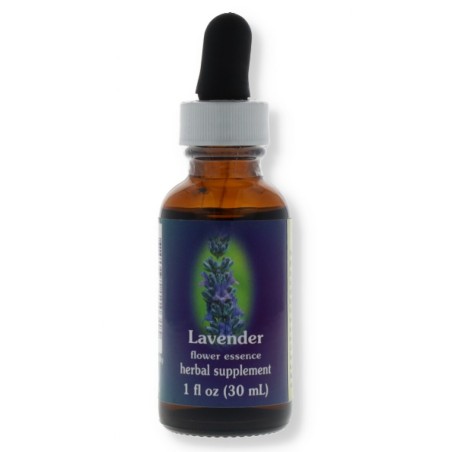 LAVENDER 30ML LAVENDER 30ML