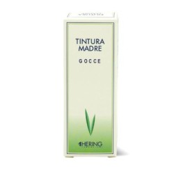 Hering Ginkgo Biloba Tintura Madre 125 Ml