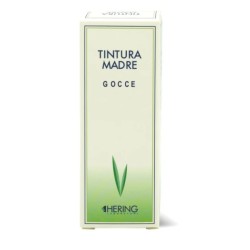Fucus Vesiculosus 60Ml Tintura madre