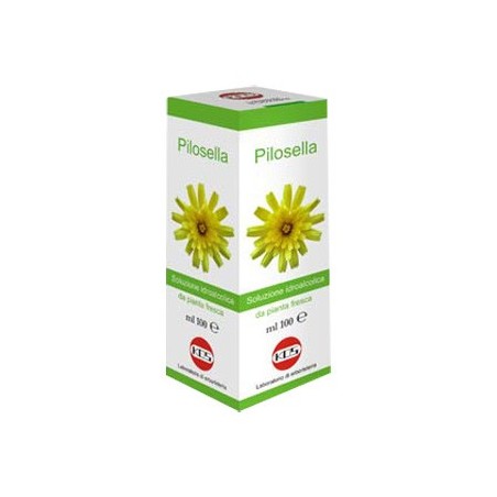 Kos Pilosella Soluzione Idroalcolica Pianta Fresca