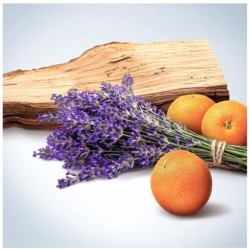 Calvin Klein Obsession Deodorante Stick da uomo 75g