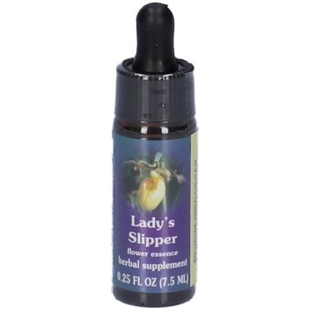 Ladys slipper essenza californiana