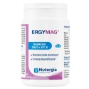 Ergymag 100 Capsule