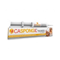 Shedir Caspongil pasta siringa