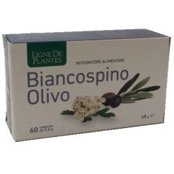 Natura Service Ligne De Plantes Biancospino Olivo