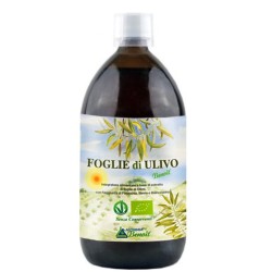Alchimia Benoit Foglie Di Ulivo