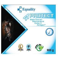 Equality 4protect