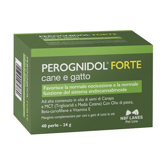 Nbf Lanes Perognidol Forte 40 Perle
