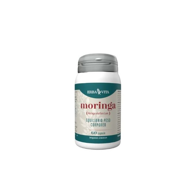 Erba vita Moringa Erba vita Moringa
