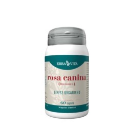 Erba Vita Rosa Canina