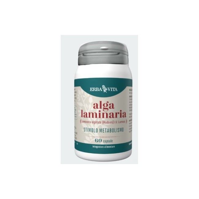 Erba Vita Alga Laminaria Erba Vita Alga Laminaria