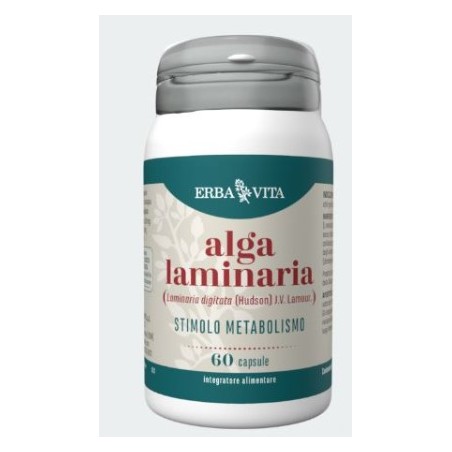 Erba Vita Alga Laminaria